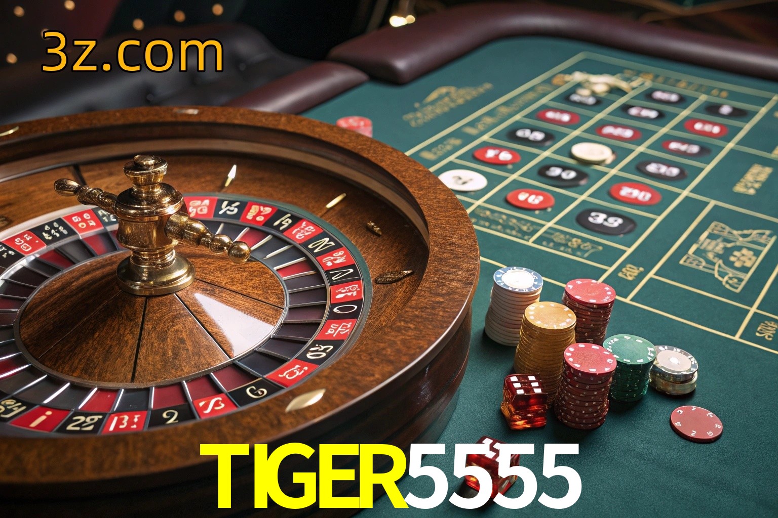  TIGER5555