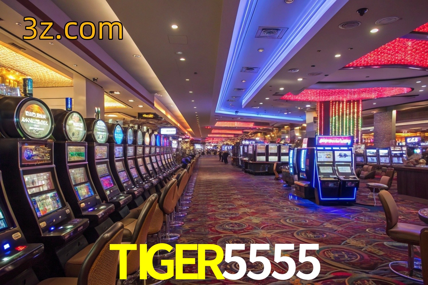  TIGER5555