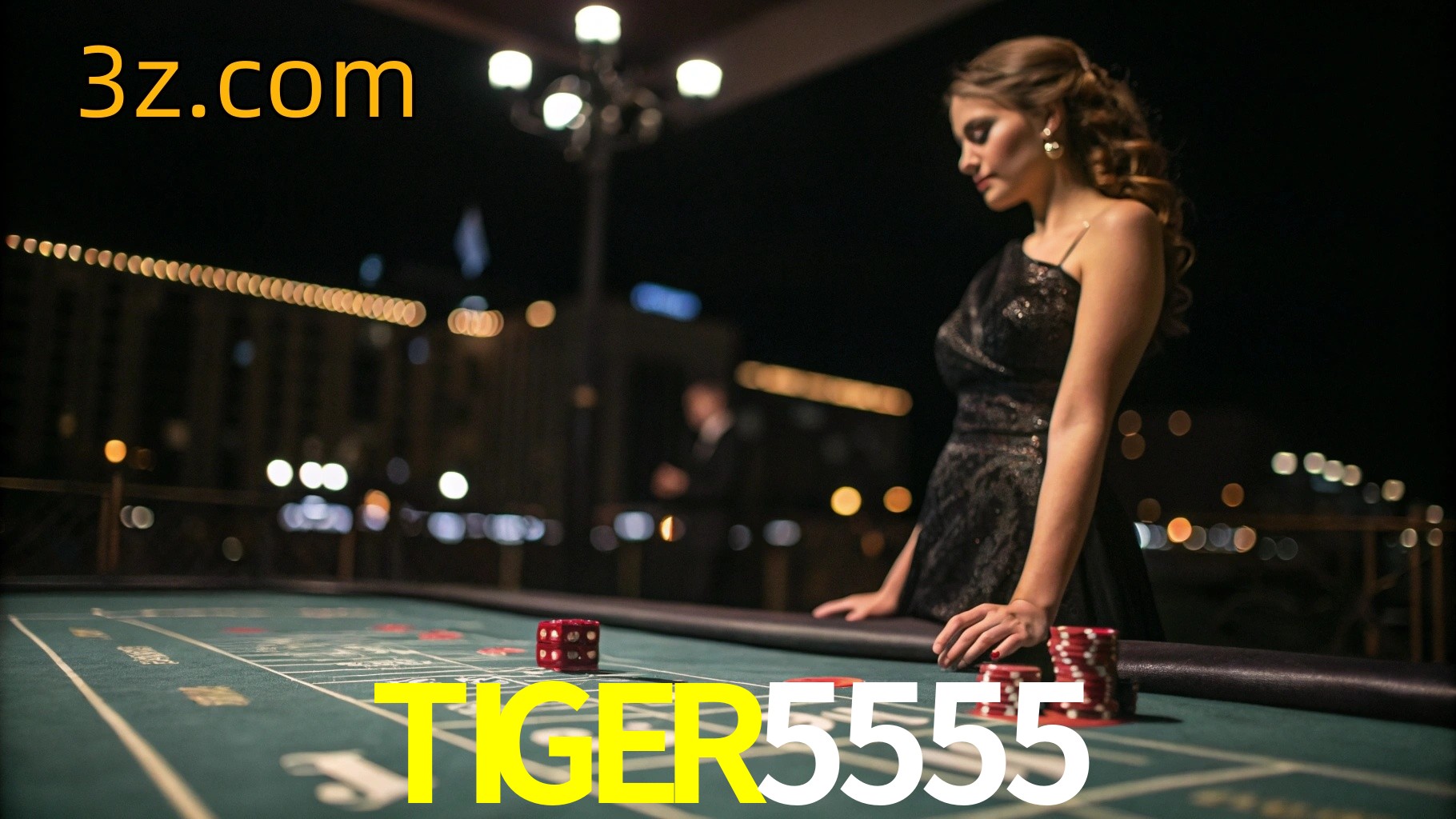  TIGER5555