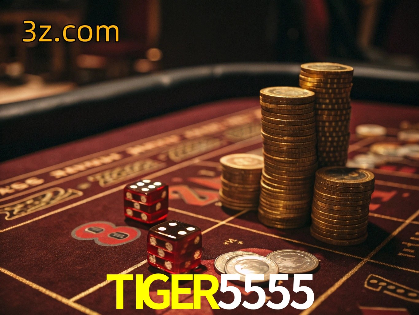  TIGER5555