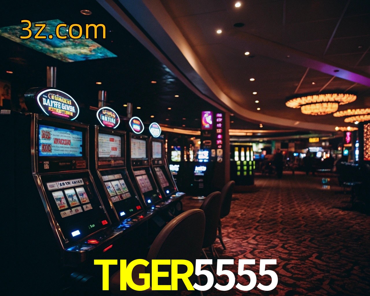  TIGER5555