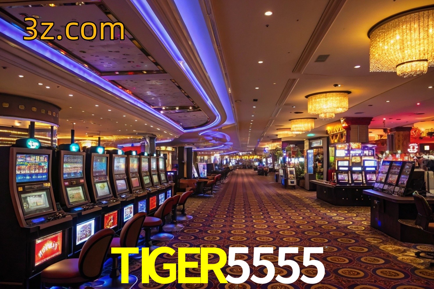  TIGER5555