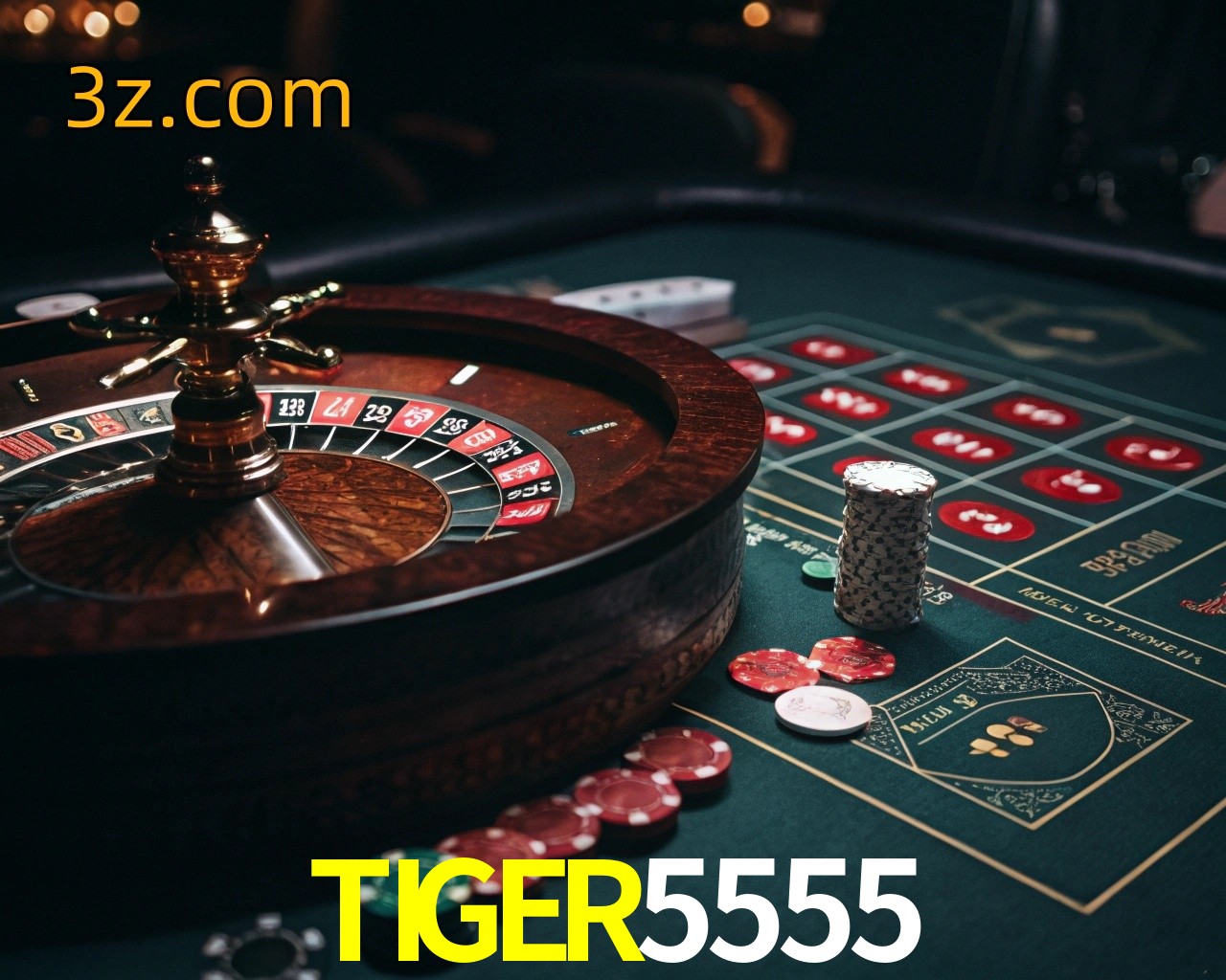  TIGER5555